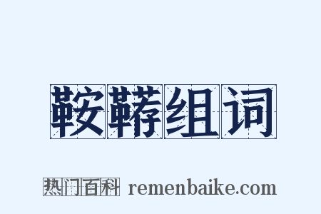 鞍鞯组词是什么意思的图片